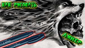 Как рисовать линером или капиллярной ручкой _ продолжаю рисовать волка / Часть 2