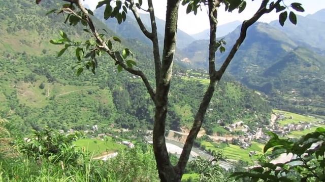 Canon powershot sx 410 IS camera test смотреть онлайн