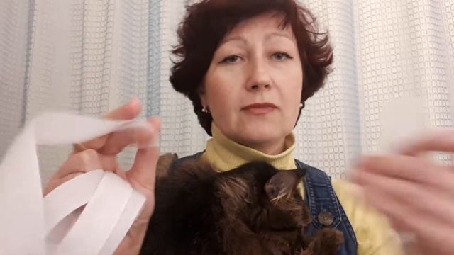 как отучить кота расчесывать себя ОЧЕНЬ ПРОСТО