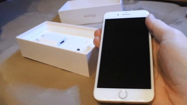 Весёлый обзор iPhone 8 Plus с маленькой собачкой!