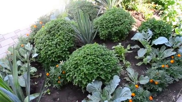 СЛИВАЕМ БАССЕЙН ДЛЯ ПОЛИВА.  Насос KARCHER SP 1 Dirt смотреть онлайн