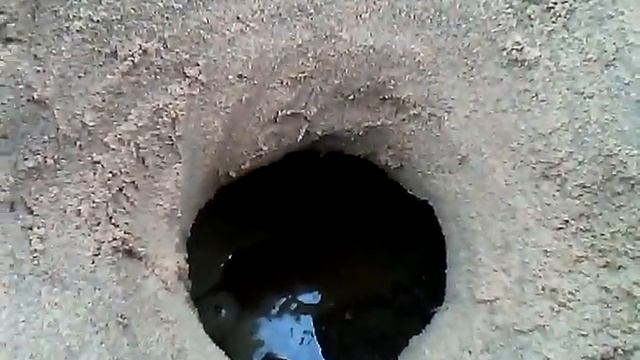 Яма с калом смотреть онлайн