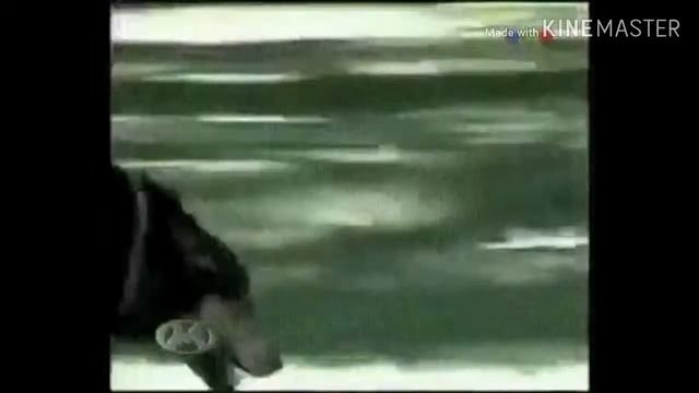 Шоу шепелявых