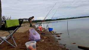 Рыбалка на платных прудах в Рыбхозе "Раково".Карасиный пруд.Пасмурно.Крупный карась.Карпята.Выезд№4