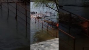 Кочетовская рыбу ловим сачком