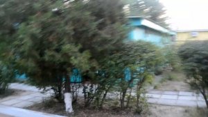 База отдыха "ВЫМПЕЛ" ГОЛУБИЦКАЯ