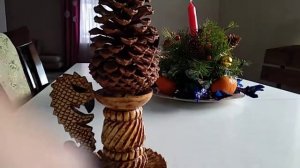 Секвойя из семян шишки