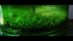 Автоматический проращиватель Tribest Freshlife FL 3000