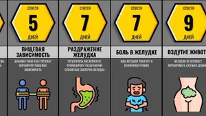 Что Если Кушать Только Доширак?