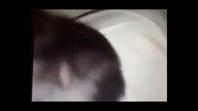 Брудер для цыплят за 15 минут | Brooder for chickens смотреть онлайн