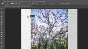 ⭐ Relleno generativo con MÁXIMA CALIDAD en Photoshop beta ?