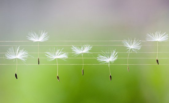 Музыка тишины смотреть онлайн