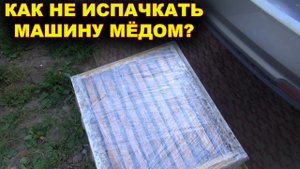 Как не испачкать автомобиль мёдом?