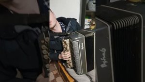Цельнопланочный рубин! Готово Выборный баян . Продажа