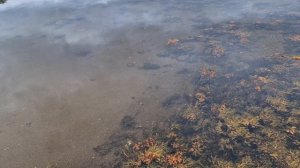 Путешествие к Белому морю #9 // Соловки