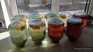 заготовка березового сока в банках