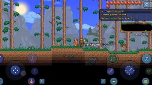 How to multiplayer with friends in terraria offline mobile