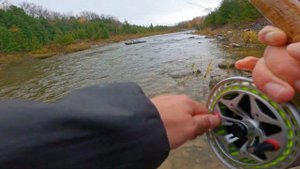Huron lake Tributary Steelhead Float Fishing (and My Setup)