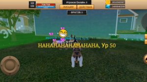 Выполнение заданий в Cat Simulator-Animal Life