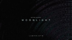 Notan Nigres - Moonlight | Labyrinth EP (Audio).mp4