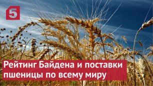Как падение рейтинга Байдена повлияло на поставки пшеницы по всему миру