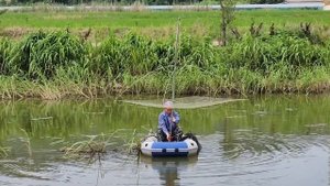 Рыбалка на паук в маленьком канале не долеко от города Ансан. Рыбалка в Корее #fishing