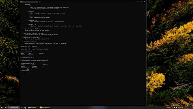 Two separate versions of Ubuntu WSL смотреть онлайн