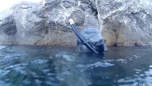 #1 Крым. Судак. Подводная охота. Море кефали. 10.10.2021г.