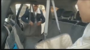 Гамак для собаки в машину с Алиэкспресс.Чехол для перевозки собаки в авто.