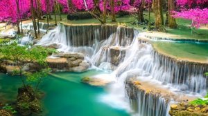 Музыка для молитвы | You Say - Lauren Daigle | Пропитка