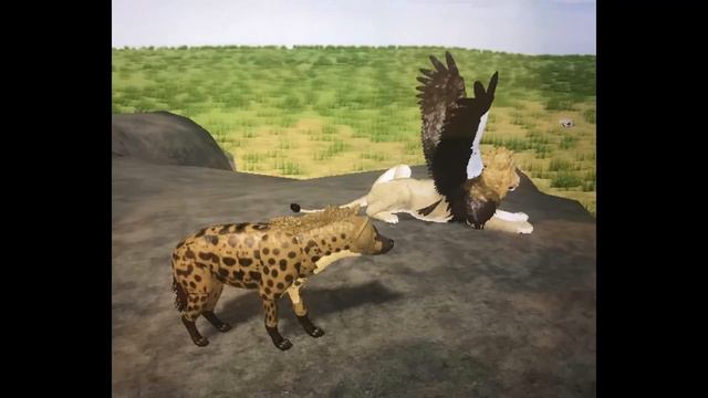 Wild Savanna in a Nutshell смотреть онлайн