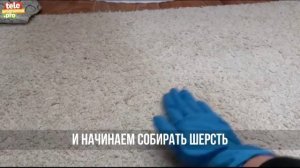 как избавится от шерсти с мебели и одежды
