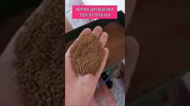 МИНИ ТЕГИРМОН.ДРОБИЛКА ДОН МАККА МИНИ ТЕГИРМОН.ДРОБИЛКА ДОН МАККА.БУГДОЙ.АРПА.