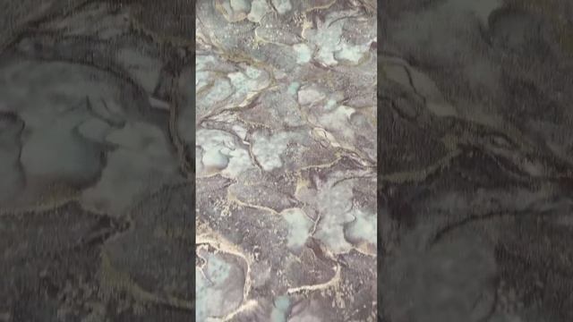 ?Коллекция обоев «Стенли» смотреть онлайн