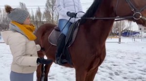 Просветова М.В. «Сердце отдаю детям».