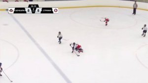 Хоккей с шайбой. Бочкари (Алтайский край) - Стрижи (Новосибирск). 29.05.2022