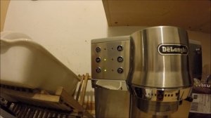Delonghi EC860 - Flashing Light Problem