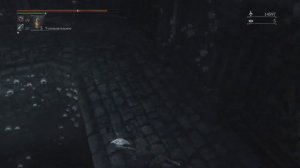 Как получить кровавый камень, живую нить, руну Луна в Bloodborne