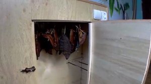 Турбо сушилка для рыбы, тест пройден, результат отлично!