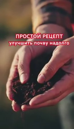 Лучшие СИДЕРАТЫ для посадки в июне