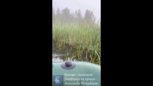 Рыбалка. Идеально