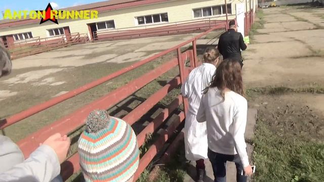 Поездка выходного дня на СТРАУСИНУЮ ферму в Подмосковье смотреть онлайн