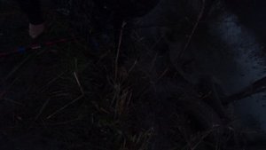 рыбалка на Кубани в Курчанском лимане 23 ноября дождик дал половить только 40 минут