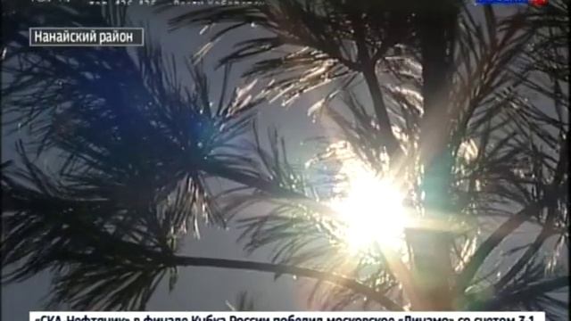 Заготовка елей смотреть онлайн