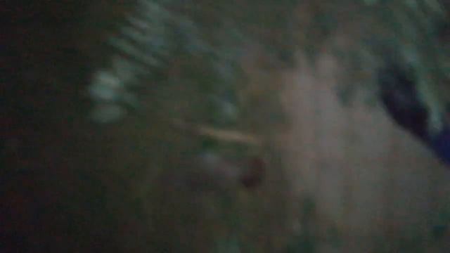 Ағам шіл ұстап алды 2019 жыл, 24 қазан смотреть онлайн