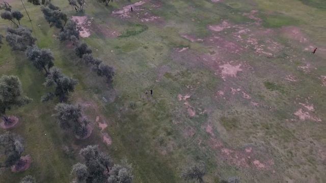 Orbit in the Park смотреть онлайн