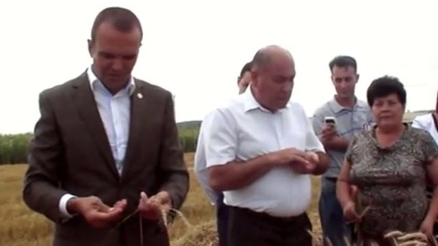 Хлеб всему голова смотреть онлайн