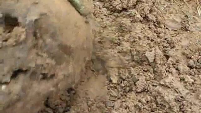 поисковый отряд боевое братство- работа в рыбках смотреть онлайн