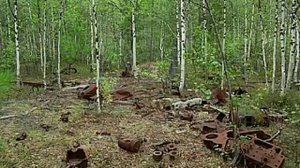 УШАНОЧКА - Влад НЕЖНЫЙ