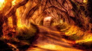 Ты удивишься!!! Самогипноз работает! Начни с релаксации, чтоб стать успешным! Урок 1 релаксация!